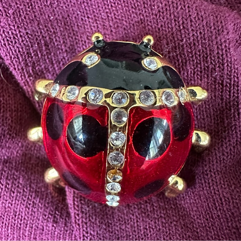 Vintage Ladybug Pin costume Jewelry